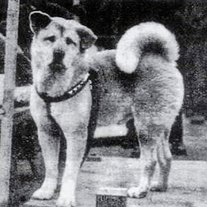 Foto-Historia-2