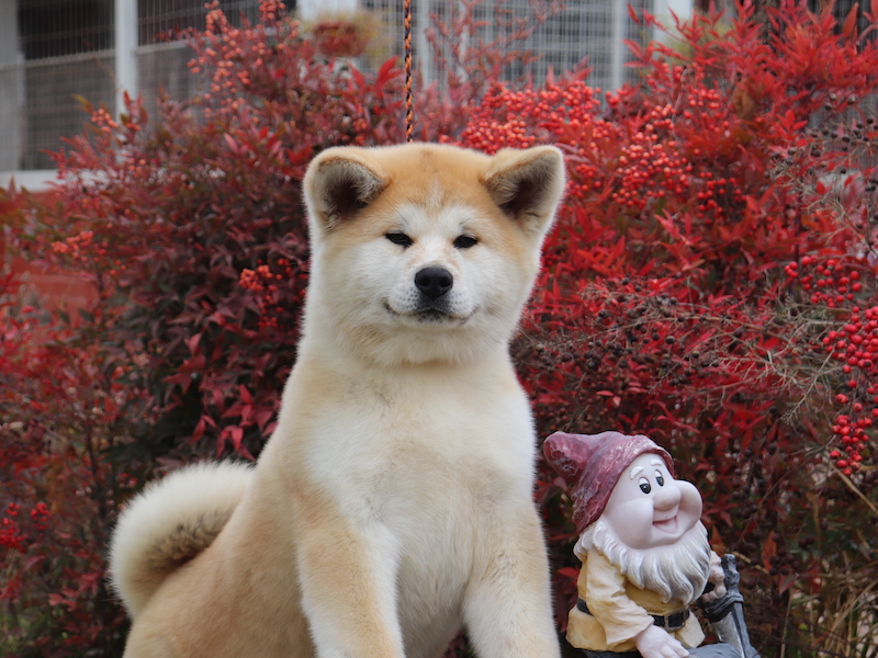 IMG_2606