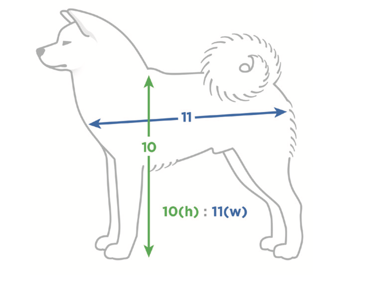 Proporciones